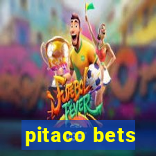 pitaco bets